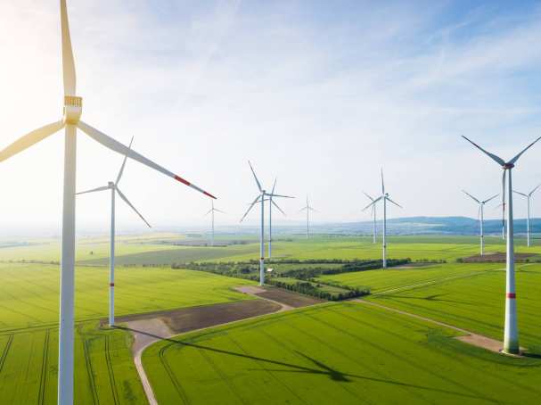 Foto van windmolens voor factsheet Stichting Wiek II ihkv onderzoeksproject minor Circulaire Economie S2 2020-2021.