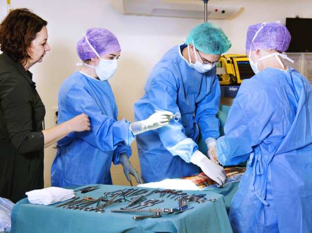 Hulpverlening studenten oefenen operatie met docent
